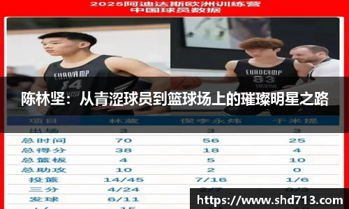 陈林坚：从青涩球员到篮球场上的璀璨明星之路