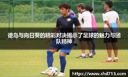 德岛与向日葵的精彩对决揭示了足球的魅力与团队精神